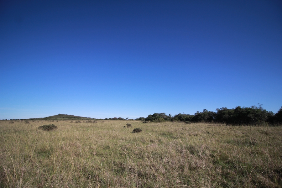0 Bedroom Property for Sale in Mossel Bay Rural Western Cape